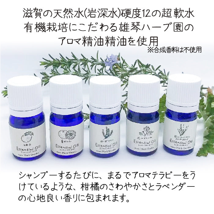 美しいびわ湖石けん全身シャンプー