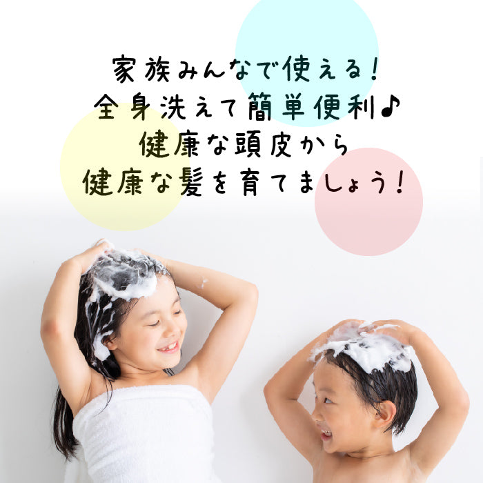 美しいびわ湖石けん全身シャンプー